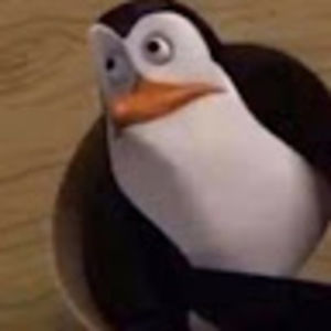 Meet your Posher, Mackenzie